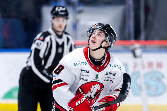 Vita Hästens Sebastian Falk