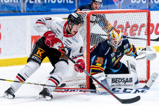 Vita Hästens Erik Borg och Djurgårdens målvakt Carl