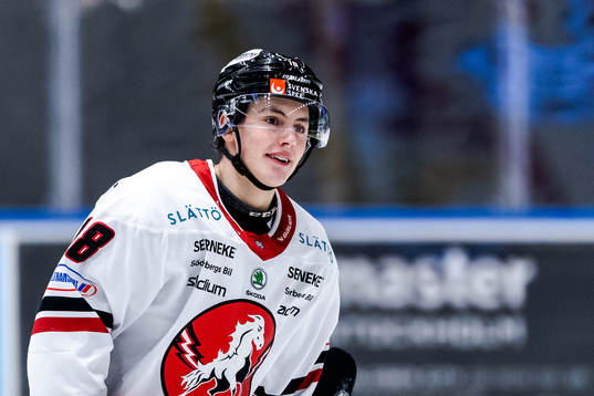 Vita målskytt Hästens Sebastian Falk jublar