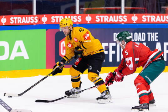 Oscar Möller of Skellefteå and Filip Johansson of