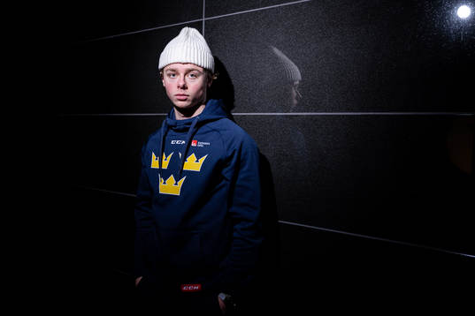 Sveriges Ludvig Jansson