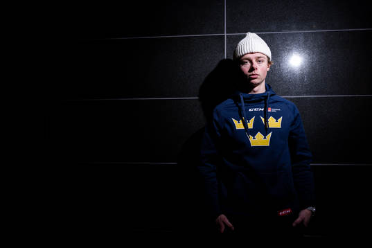 Sveriges Ludvig Jansson