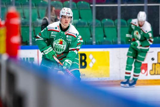 Rögles Theo Nordlund