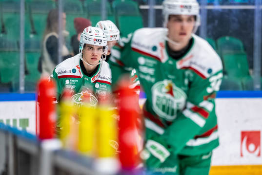 Rögles Theo Nordlund