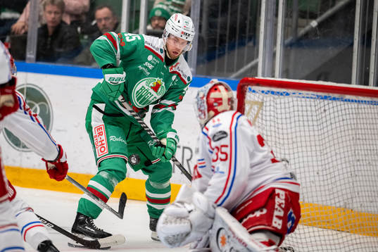 Rögles Viktor Grahn