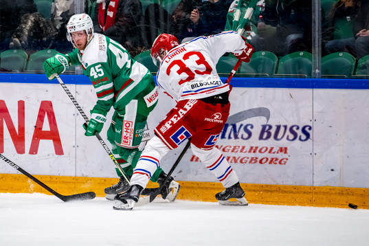 Rögles Viktor Grahn
