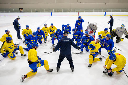 Head coach Magnus Hävelid of Sweden at a Practice session