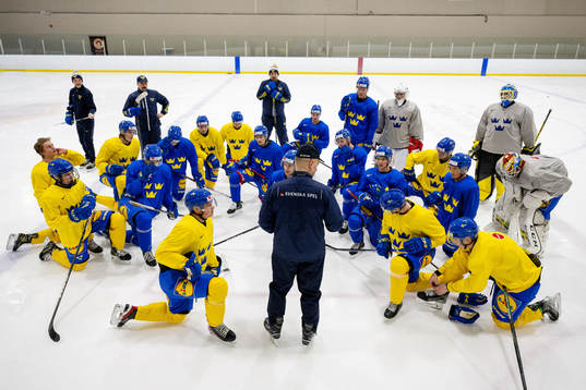 Head coach Magnus Hävelid of Sweden at a Practice session