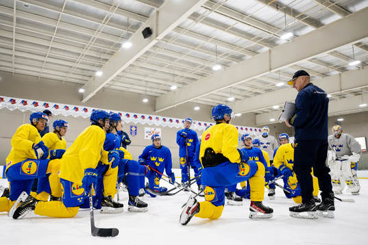 Head coach Magnus Hävelid of Sweden at a Practice session