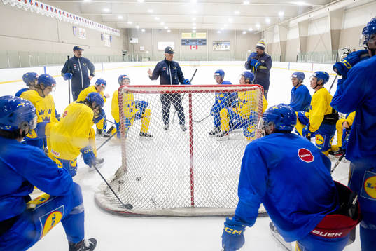 Head coach Magnus Hävelid of Sweden at a Practice session
