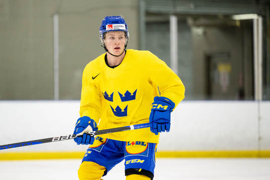 Victor Sjöholm of Sweden at a Practice session