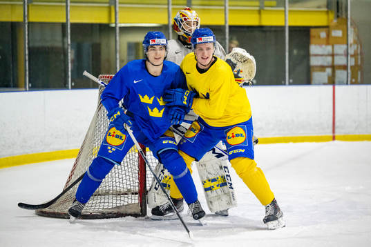 Liam Öhgren, Elias Pettersson and goaltender Carl Lindbom