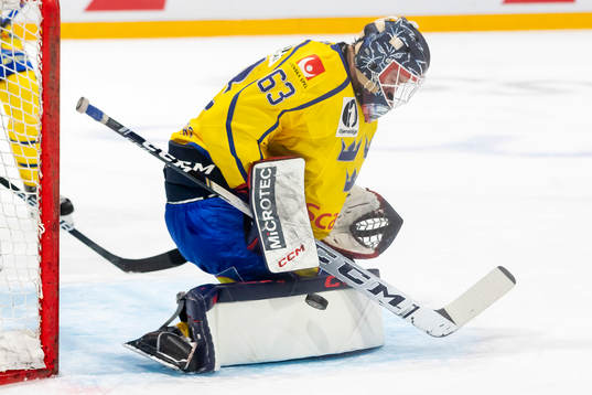 Goalkeeper Marcus Högberg of Sweden