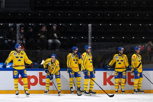 Players of Sweden