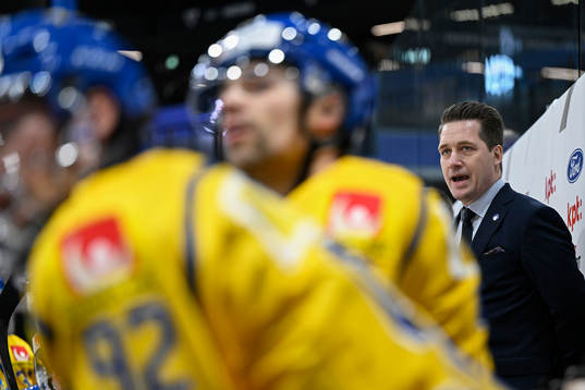 Sam Hallam, head coach of Sweden