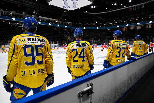 Players of Sweden