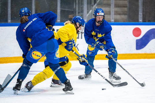 of Sweden at a training session