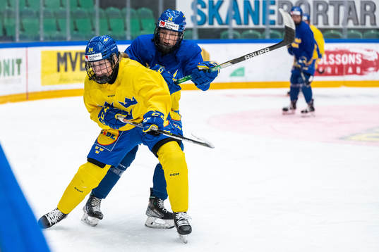 of Sweden at a training session