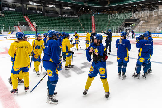 Players of Sweden at a training session
