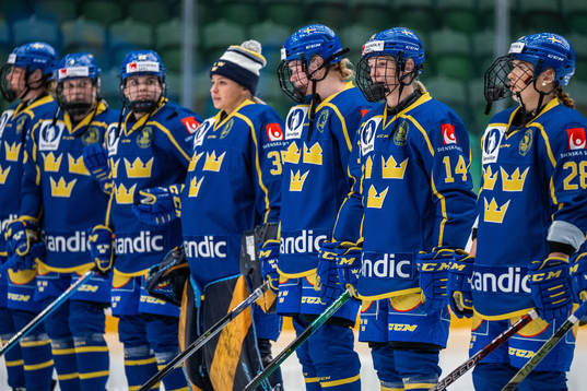 Players of Sweden