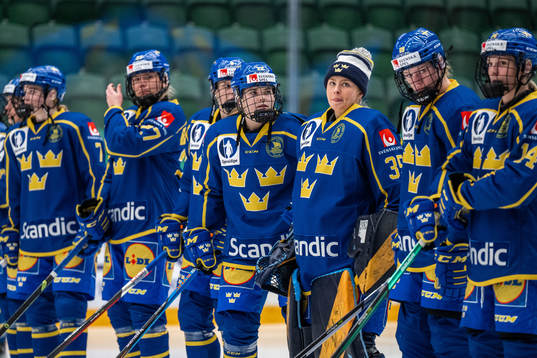 Players of Sweden