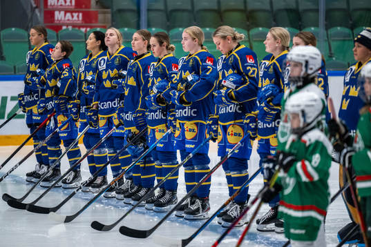 Players of Sweden