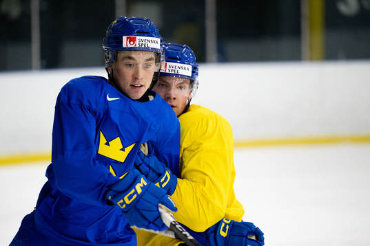 Noah Östlund and Victor Stjernborg of Sweden at a practice