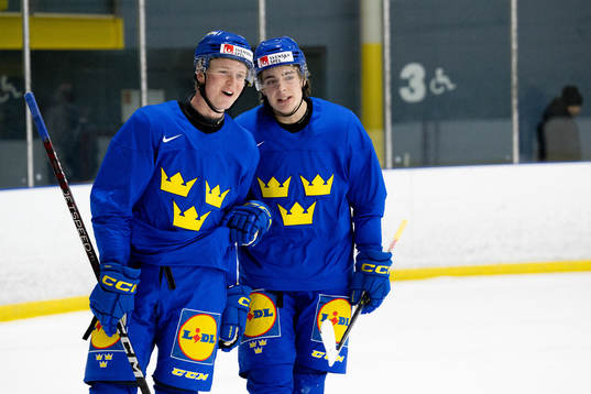 Filip Bystedt and Leo Carlsson of Sweden at a practice