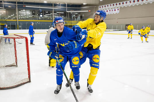 Adam Engström and William Strömgren of Sweden at a