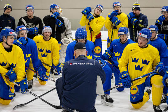 Players of Sweden