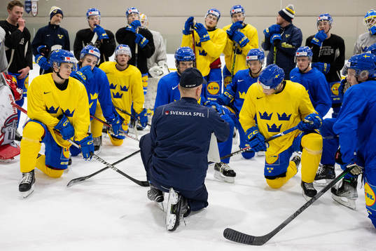 Magnus Hävelid, Head coach of Sweden at a practice session
