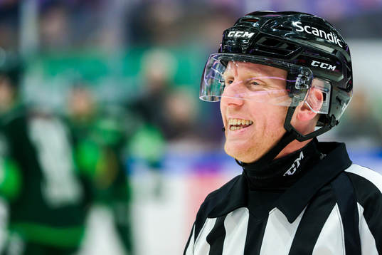 Domare Mikael Holm