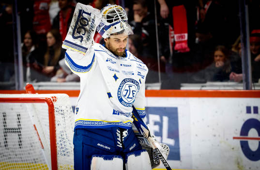 Leksands målvakt Mantas Armalis deppar