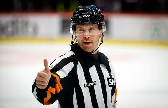 Domare Johan Magnusson