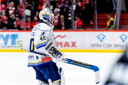 Leksands målvakt Mantas Armalis