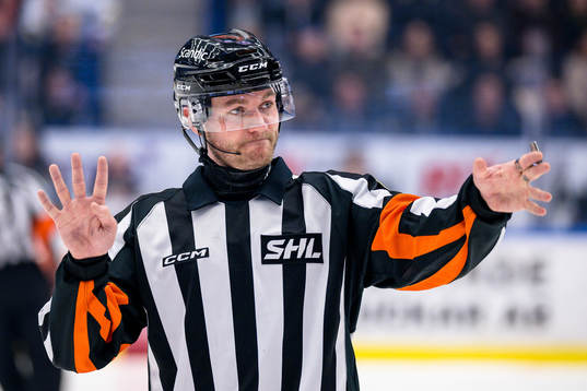 Domare Daniel Eriksson