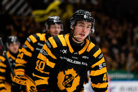 Skellefteås Andreas Wingerli