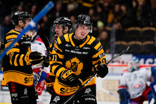Skellefteås Max Lindholm