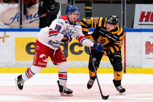 Oskarshamns Niclas Burström och Skellefteås Rickard Hugg
