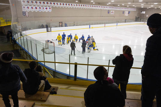 Players of Sweden gathered