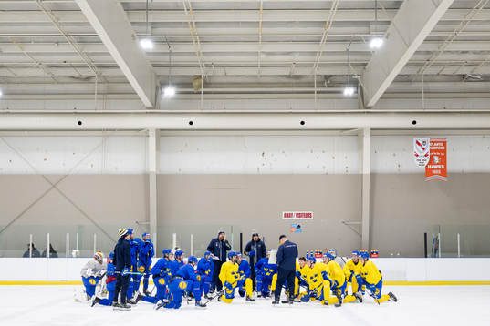 Players of Sweden gathered
