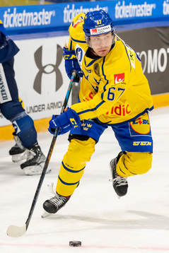 Leon Bristedt of Sweden