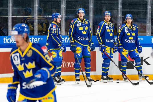 Players of Sweden