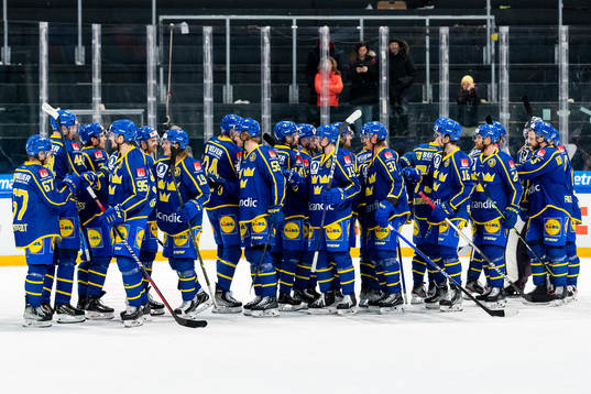 Players of Sweden