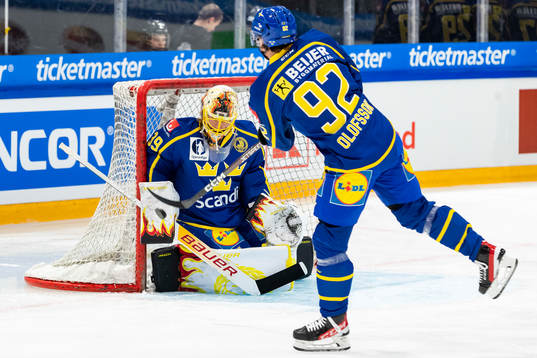 Goalkeeper Anders Lindbäck and Jesper Olofsson of Sweden