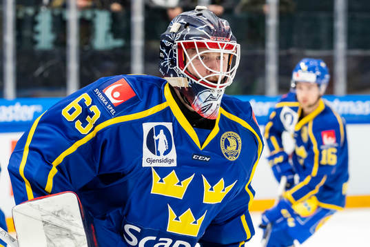 Goalkeeper Marcus Högberg of Sweden
