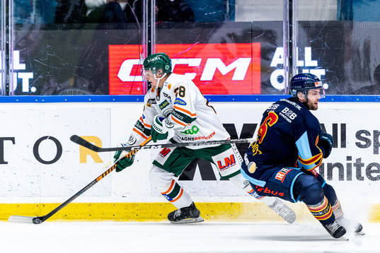 Kristianstads Linus Pettersson och Djurgårdens Stefan