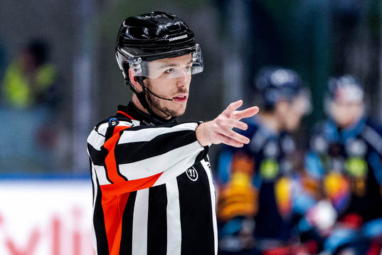 Domare Oscar Niklasson