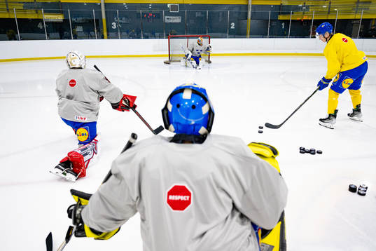Goaltenders Carl Lindbom,  Marcus Brännman and  Ian