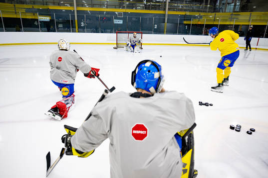 Goaltenders Carl Lindbom,  Marcus Brännman and  Ian